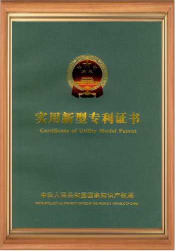 電磁鐵電磁場(chǎng)廠(chǎng)家的專(zhuān)利證書(shū)之八